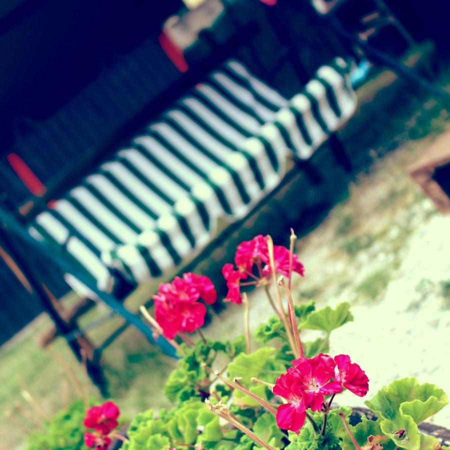 B&B Red House Garlate 외부 사진